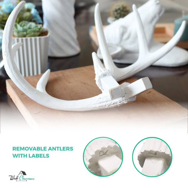 The Virginia Mini Deer Head Faux Taxidermy Single Color