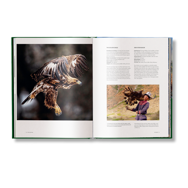 Hunting: The Ultimate Book