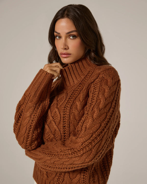 Tania Cable Knit Turtleneck Sweater
