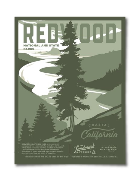 Redwood National Park - 12x16 Poster