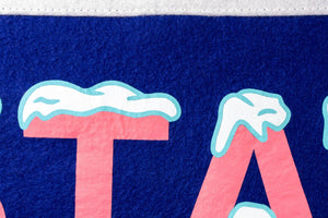 Stay Cool Camp Flag • Holy Smokes x Oxford Pennant