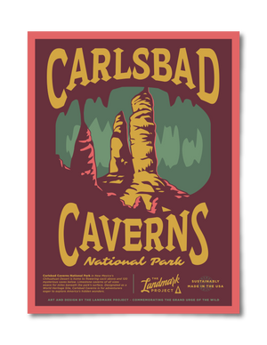 Carlsbad Caverns National Park - 12x16 Poster