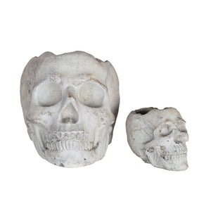 Concrete Momento Mori Mini Skull Planter