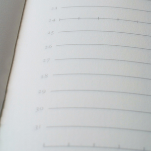 Tomoe River Notebooks A5: Wide Ruled