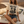 White Trash with a Little Cash Relaxed Crop Tee