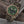 Explorer S Vintage Brass Men's Watch