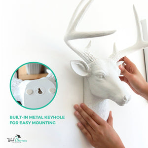 The Virginia Mini Deer Head Faux Taxidermy Single Color