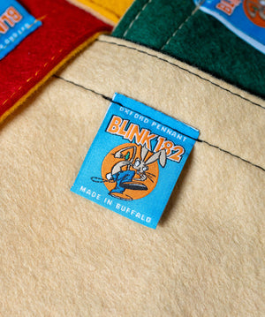 Give Me One Good Reason Why ... Camp Flag • Blink-182 x Oxford Pennant