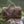 30L Weekender Duffel: Antique Brown