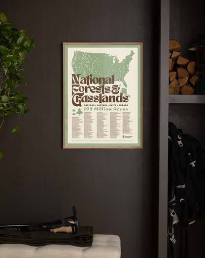 National Forests and Grasslands - 12x16 Poster