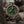 Explorer S Vintage Brass Men's Watch