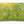 Bear Hunt Pull Slide And Play