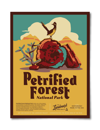 Petrified Forest National Park - 12x16 Poster