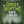 Ghosthunting North Carolina, 2nd Ed.