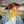 Smokey Bear Bandana: Amber Gold