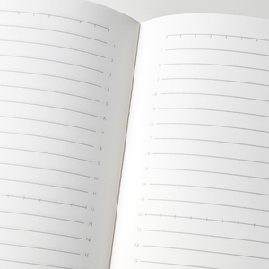 Tomoe River Notebooks A5: Wide Ruled