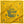 Smokey Bear Bandana: Amber Gold