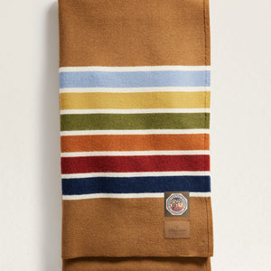 Joshua Tree Pendleton Multicolor Striped Blanket 
