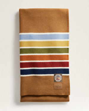 Joshua Tree Pendleton Multicolor Striped Blanket 