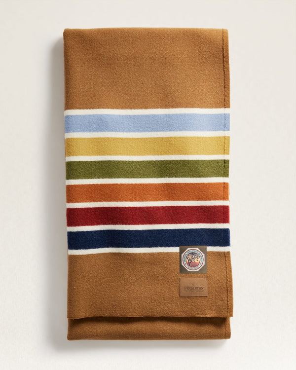 Joshua Tree Pendleton Multicolor Striped Blanket 
