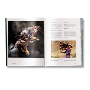 Hunting: The Ultimate Book