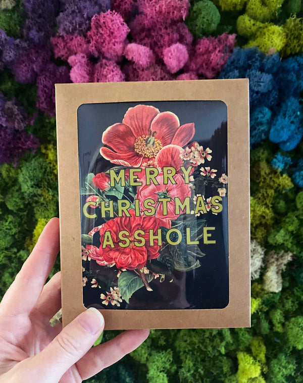 Merry Christmas Asshole Box Set of 10 Cards