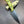 Dirigo Fixed Blade Knife - Green/Orange