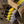 Rite in the Rain Carpenter Pencils, 12 Pack
