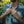Bless Up Button Up Shirt - Navy Pukpulko