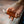 Leather Lighter Sleeve