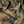 The Windbreak CPO - Duck Camo
