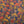 H Bar B Snapshirt - Fungi Forage - Nightfall