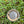 Limited Edition Titanium Arrowhead Ball Marker