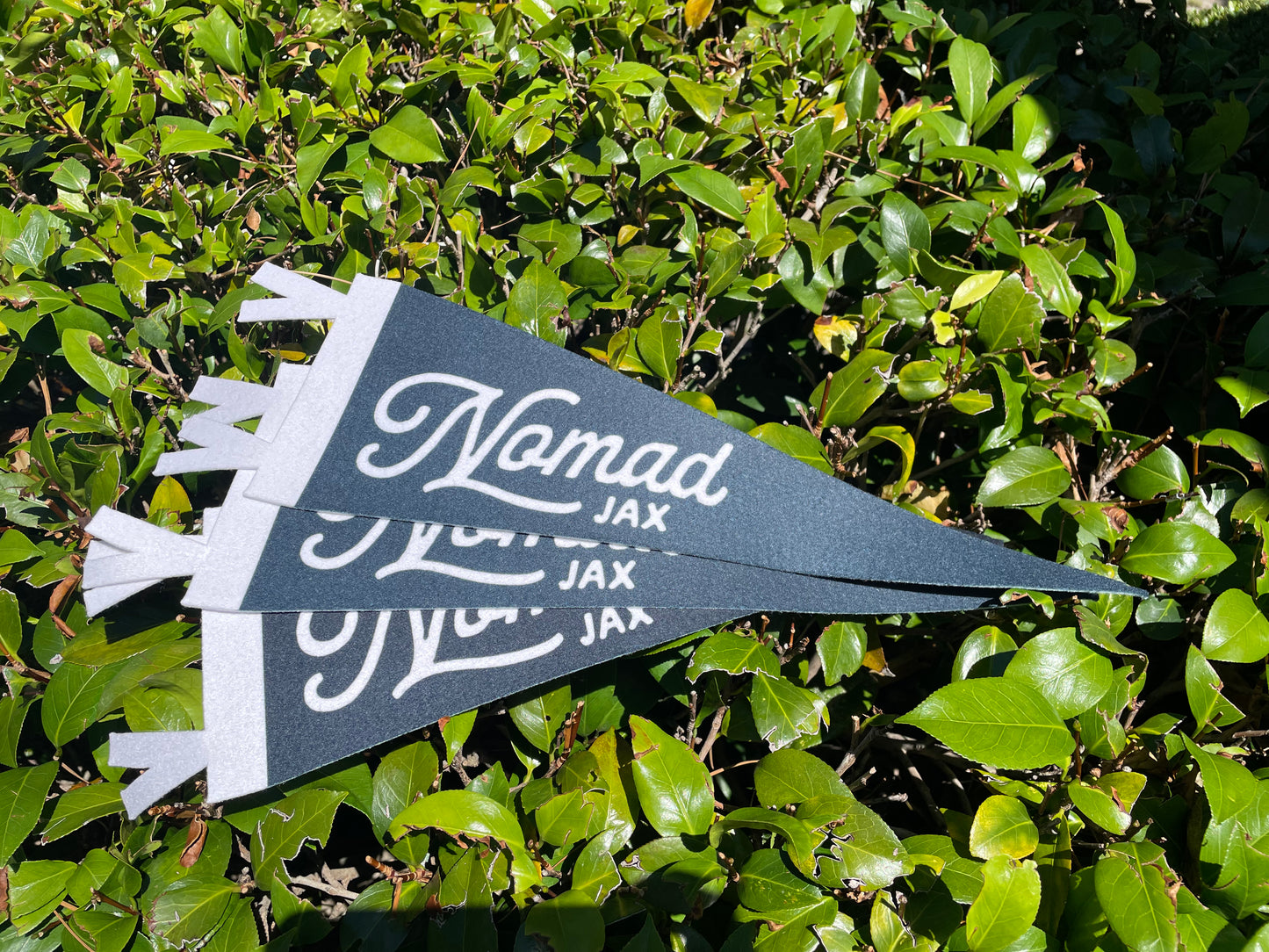 Nomad Jax Mini Pennant / Black & Cream