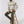 Generation™ 5-Pocket Pant - Dark Sage