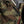 The Sailcloth Tanker - Camo Fade