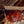 Camp Trail Sunglasses : LIMITED SERIES