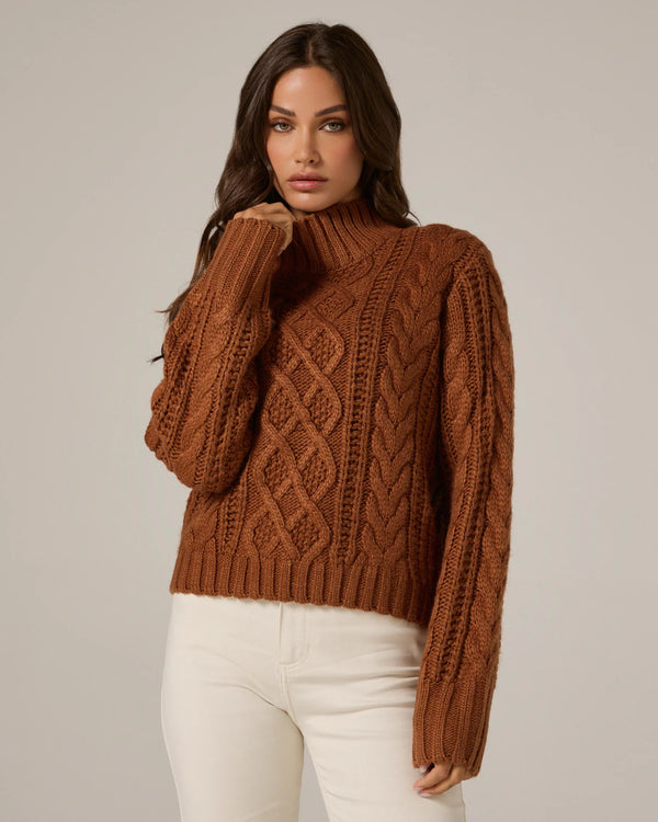 Tania Cable Knit Turtleneck Sweater