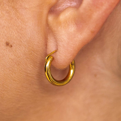 Staple Small Hoops: Gold