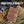 Field Journal: Brown