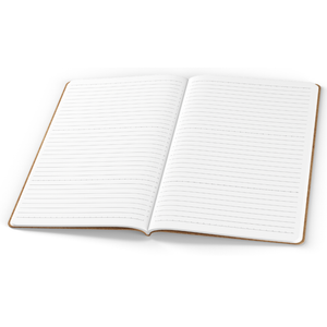 Tomoe River Notebooks A5: Wide Ruled