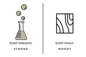 Woods Candle