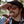 Camp Glacier Sunglasses : Smokey Bear Edition