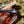 Camp Glacier Sunglasses : Smokey Bear Edition