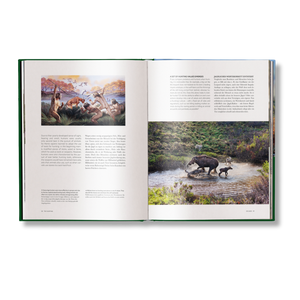 Hunting: The Ultimate Book