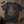 Live Fast, Die Slow T-Shirt : Black