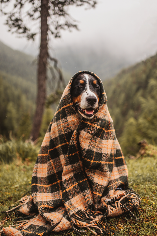 Vintage Plaid Hunter Blanket