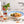 Soup Magic