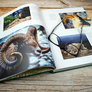 Hunting: The Ultimate Book