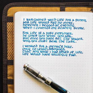 Field Journal: Brown